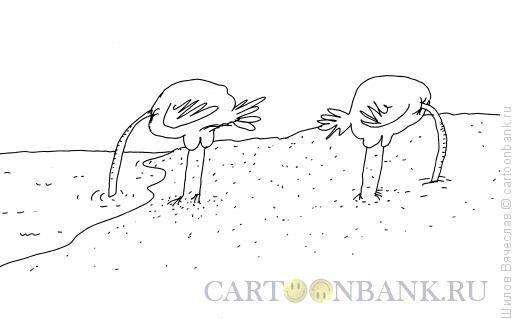 Карикатура: Каждому свое, Шилов Вячеслав
