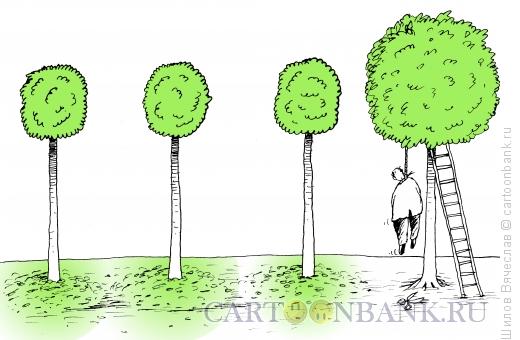 Карикатура: Уставший садовник, Шилов Вячеслав