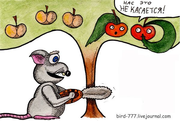 Карикатура: Нас не касается, Птица Счастья