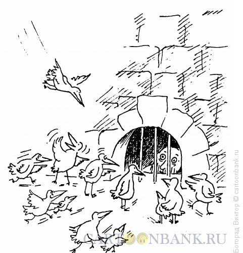 Карикатура: Зоопарк, Богорад Виктор