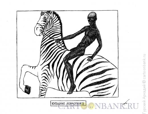 Карикатура: купание зебры, Гурский Аркадий