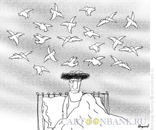 Карикатура: Гнездо на голове, Богорад Виктор