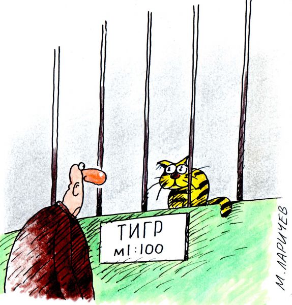 Карикатура: тигр, михаил ларичев