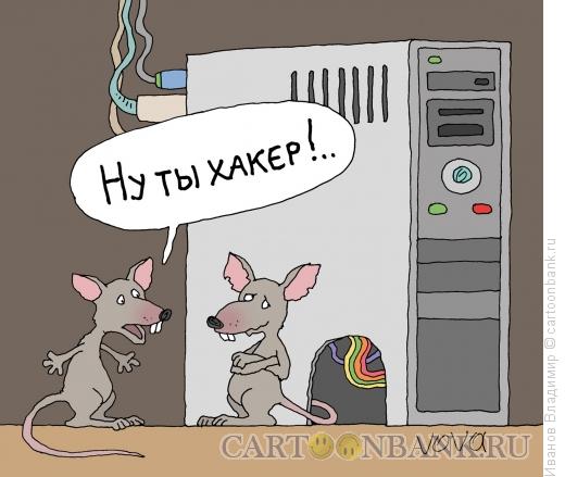 Карикатура: Хакер, Иванов Владимир