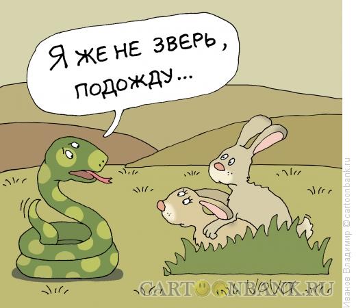 Карикатура: Терпеливый удав, Иванов Владимир