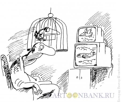 Карикатура: Каждму свое, Богорад Виктор