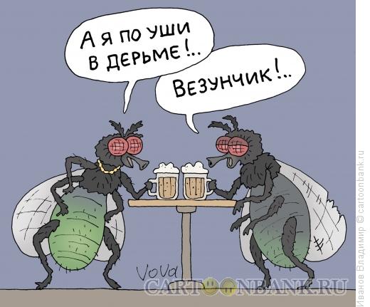 Карикатура: Дерьмовая жизнь, Иванов Владимир