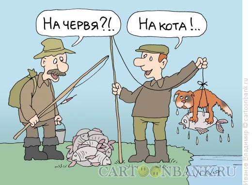 Карикатура: На кота, Иванов Владимир