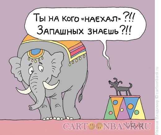 Карикатура: Крутая моська, Иванов Владимир