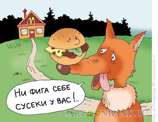 Карикатура: Сусеки, Иванов Владимир