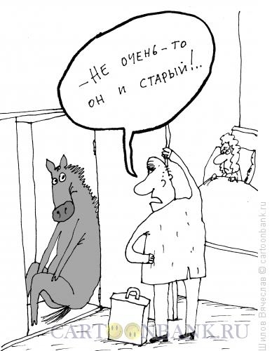 Карикатура: Не очень старый конь, Шилов Вячеслав