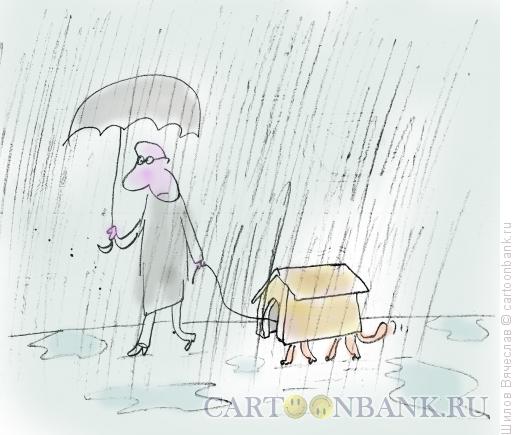 Карикатура: Защита от дождя, Шилов Вячеслав