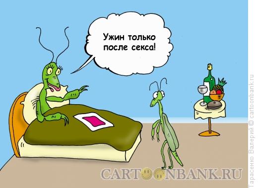 Карикатура: Судьба богомола, Тарасенко Валерий