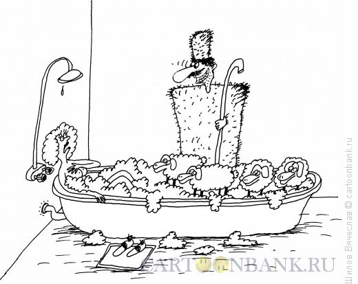 Карикатура: Пенный пастух, Шилов Вячеслав