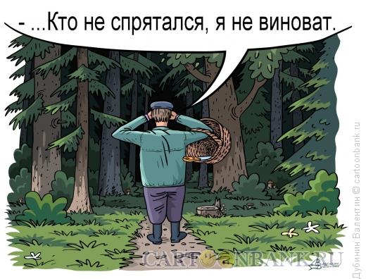 Карикатура: Грибник играет в прятки, Дубинин Валентин