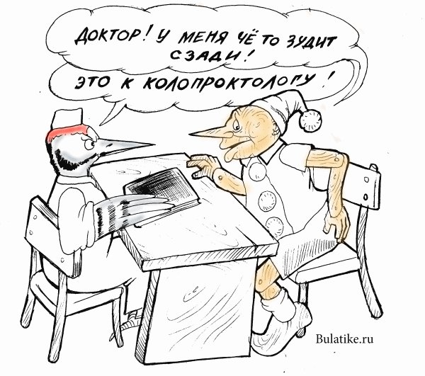Карикатура: Буратино на приеме у дятела, Булат Ирсаев