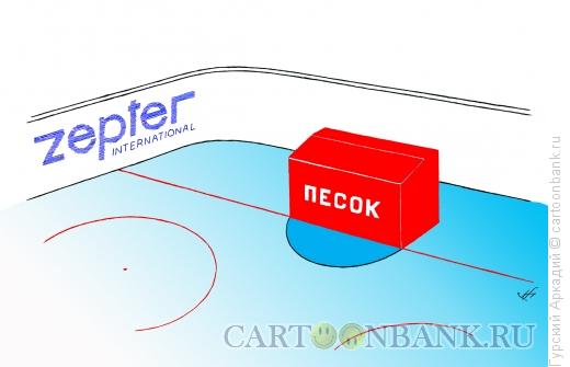 Карикатура: хоккейная площадка, Гурский Аркадий