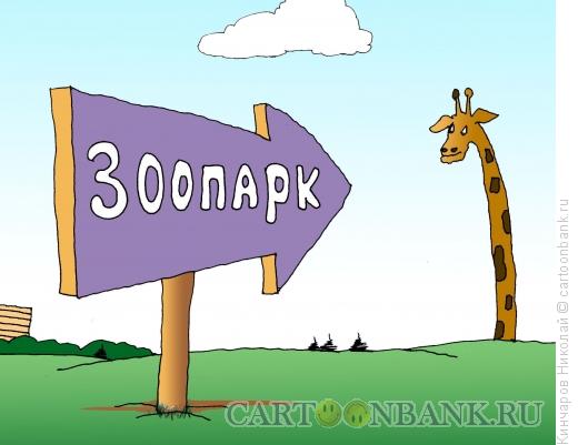 Карикатура: Зоопарк, Кинчаров Николай