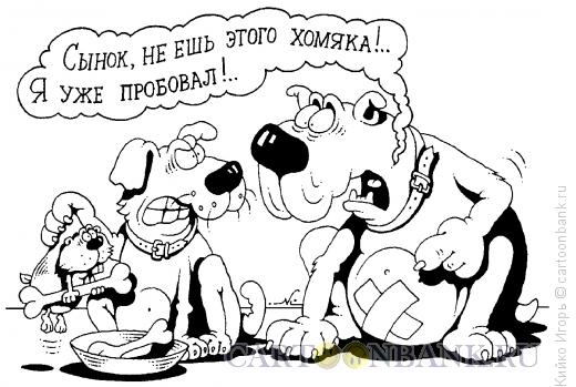 Карикатура: Опыт - сын ошибок трудных, Кийко Игорь
