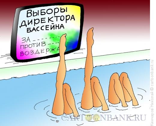 Карикатура: Выборы, Кинчаров Николай