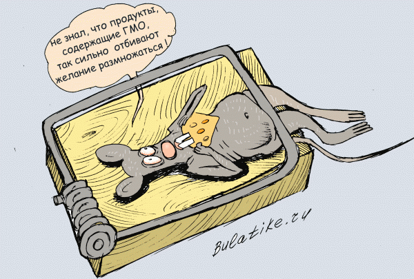 Карикатура: Умная мышь, Булат Ирсаев