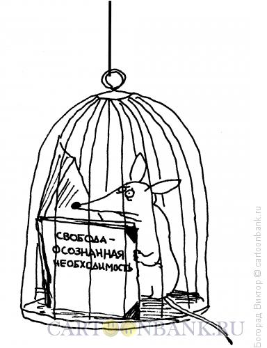 Карикатура: Осознанная необходимость, Богорад Виктор