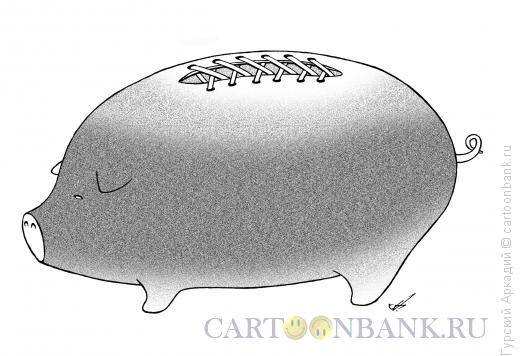 Карикатура: свинья со шнуровкой, Гурский Аркадий