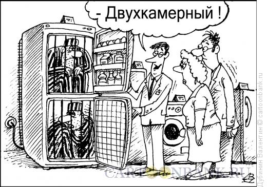 Карикатура: Холодильник, Дубинин Валентин
