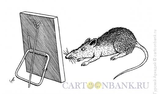 Карикатура: крыса у зеркала, Гурский Аркадий