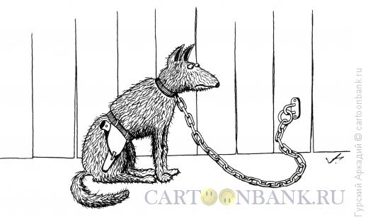 Карикатура: Собака с оружием, Гурский Аркадий