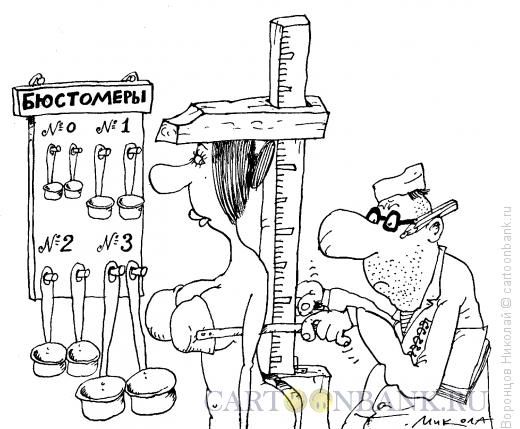 Карикатура: Бюстомер, Воронцов Николай