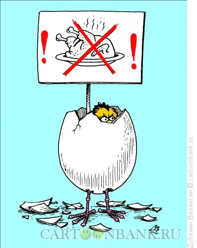 Карикатура: Протест цыплёнка, Дубинин Валентин