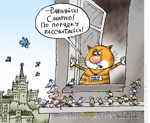 Карикатура: Инвентаризация, Воронцов Николай