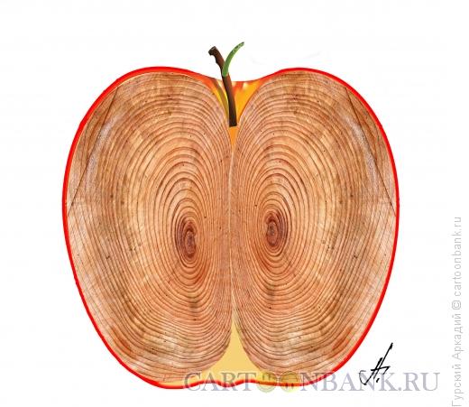 Карикатура: яблоко, Гурский Аркадий