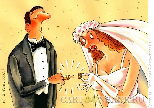 Карикатура: Снова женат, Дружинин Валентин