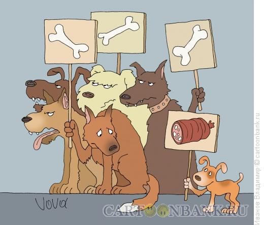 Карикатура: Собачьи запросы, Иванов Владимир