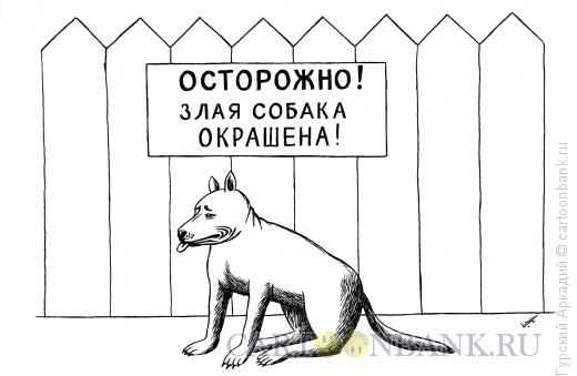 Карикатура: злая собака, Гурский Аркадий