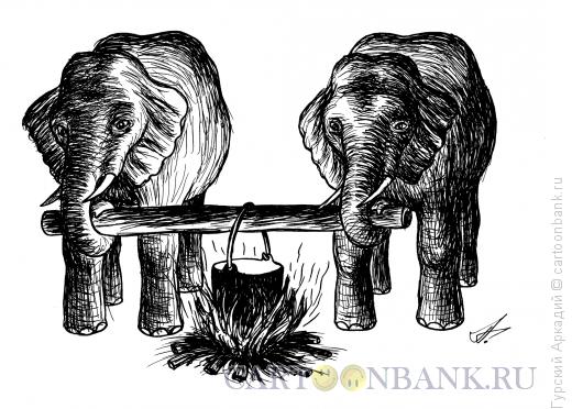 Карикатура: Слоны, Гурский Аркадий