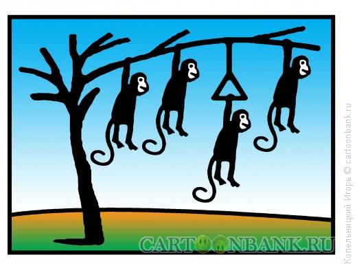 Карикатура: обезьяны на ветке, Копельницкий Игорь