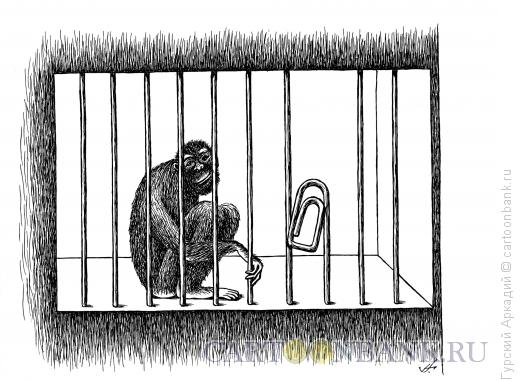 Карикатура: обезьяна в клетке, Гурский Аркадий