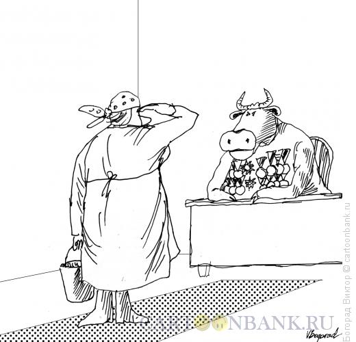 Карикатура: Корова -медалистка-начальница., Богорад Виктор