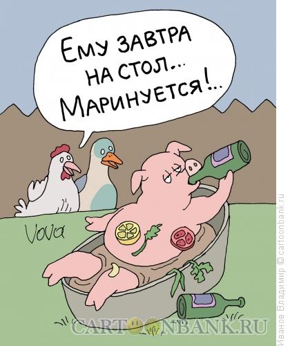 Карикатура: В маринаде, Иванов Владимир