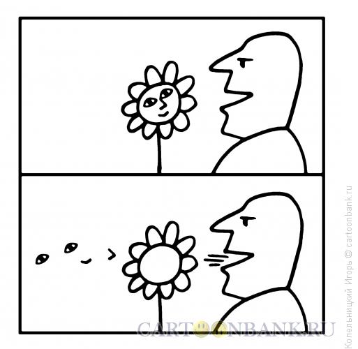Карикатура: цветок как лицо, Копельницкий Игорь