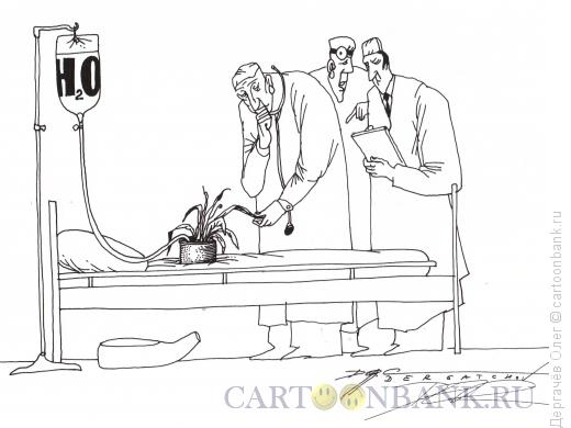 Карикатура: обход в больнице, Дергачёв Олег