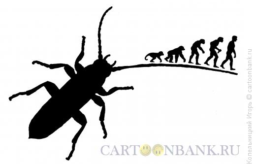 Карикатура: эволюция и таракан, Копельницкий Игорь