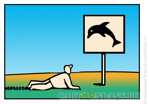 Карикатура: Дельфин в пустыне, Копельницкий Игорь