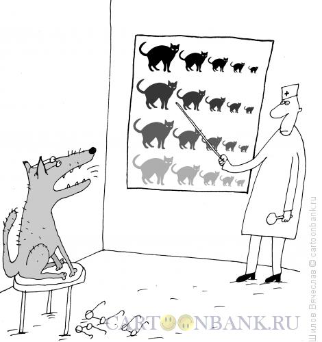 Карикатура: На приеме у окулиста, Шилов Вячеслав