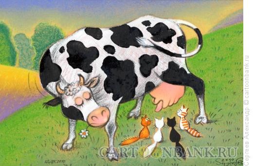 Карикатура: Коты, корова, молоко, Сергеев Александр