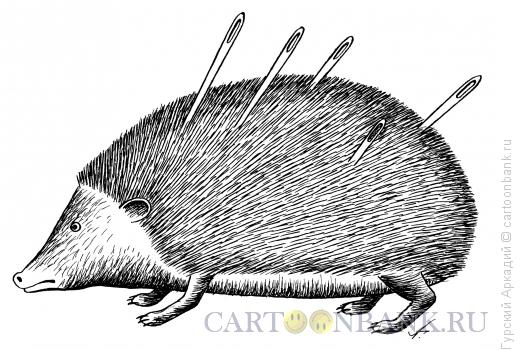 Карикатура: ёжик с иголками, Гурский Аркадий