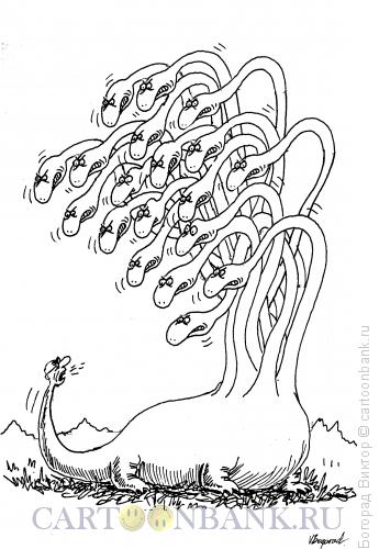 Карикатура: Хвост крутит... драконом, Богорад Виктор